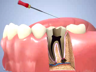 257cb813-4e2e-4eb5-a13c-d4739c0db56d.jpg