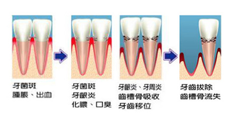 2012012015581796.jpg