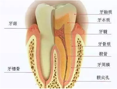 QQ截图20161103165313.png