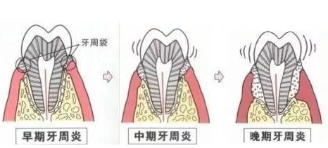 QQ截图20171024092759.png