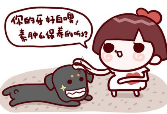 3.png